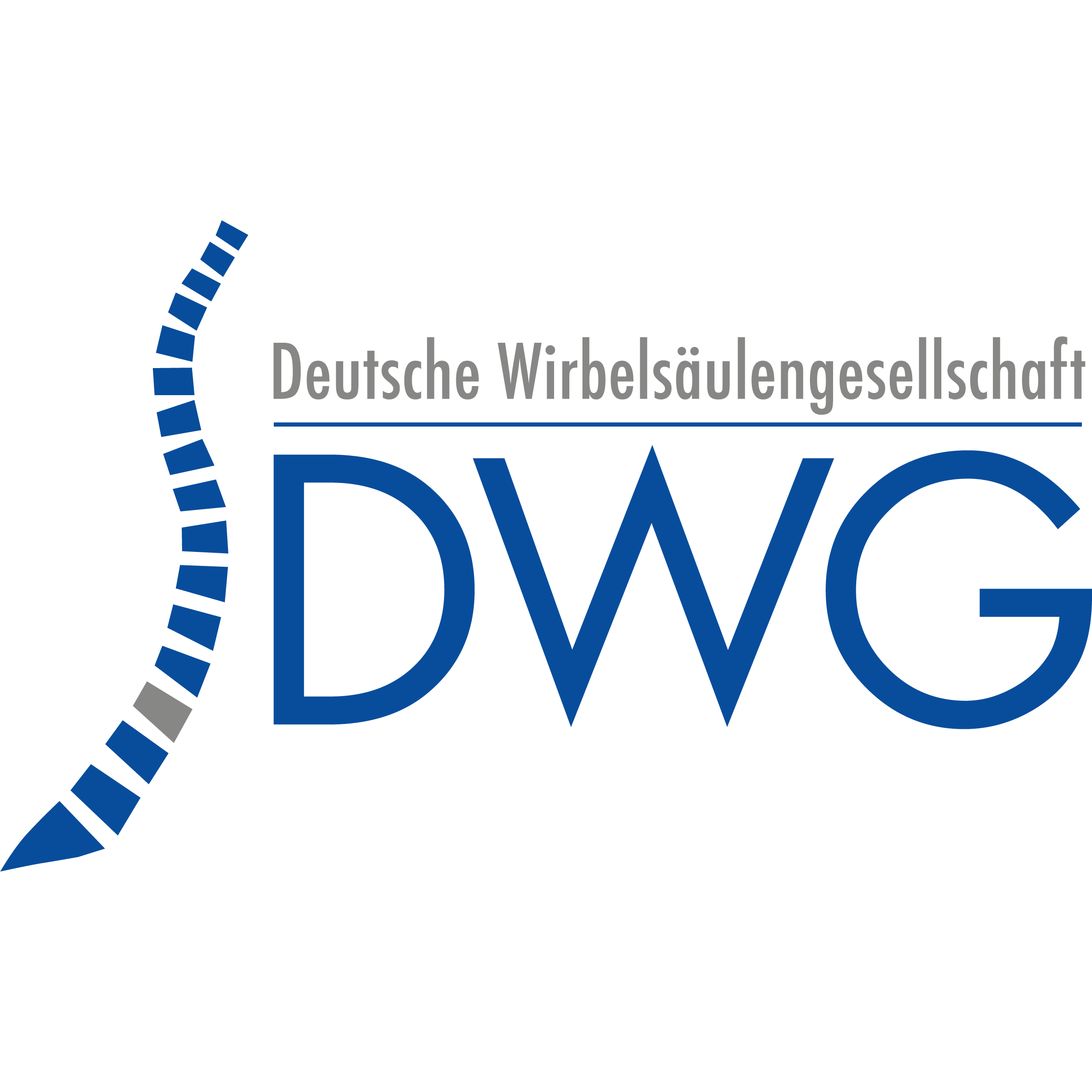 20. Jahrestagung der Deutschen Wirbelsäulengesellschaft